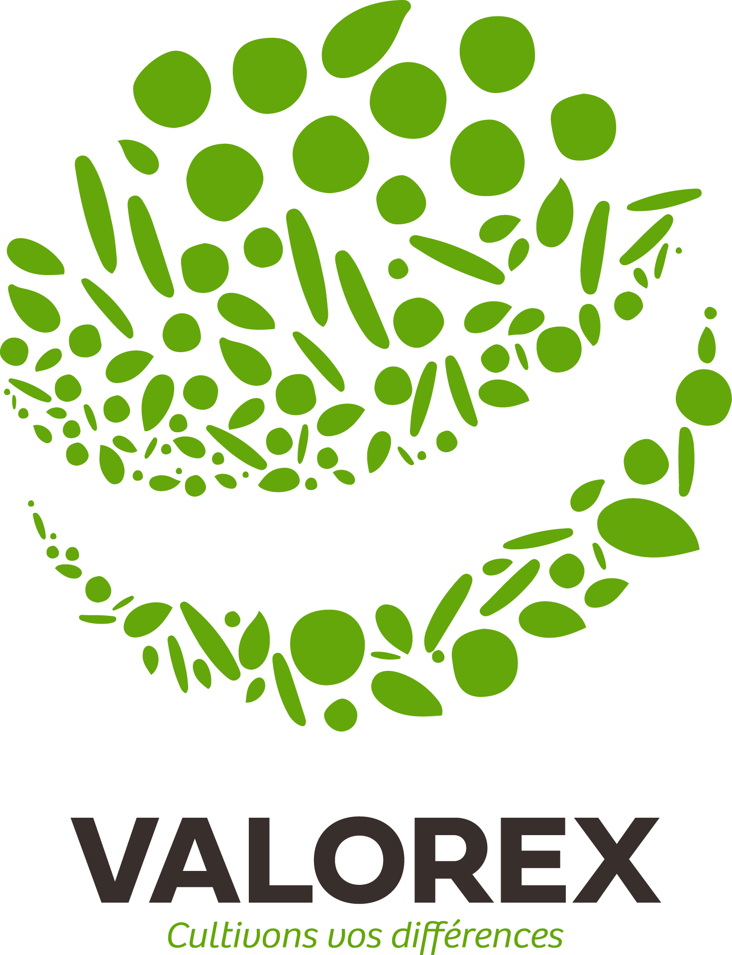 valorex corporate logo vertical rgb 2