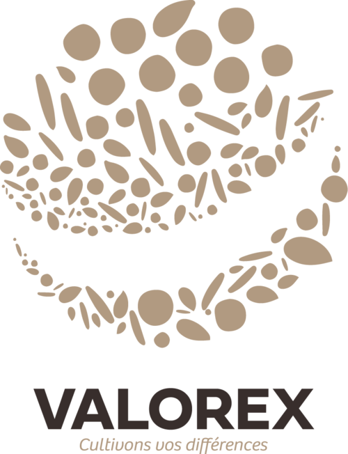 valorex food logotipo corporativo verde 2